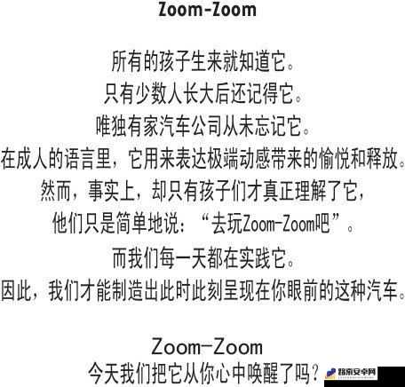 Zoom 与人马性 Zoom 比较二者的优势与差异以及应用场景分析